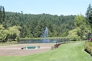 59 - Butchard Gardens  - IMG_1653